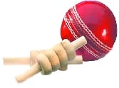 Corbett Cup Twenty20 Cricket